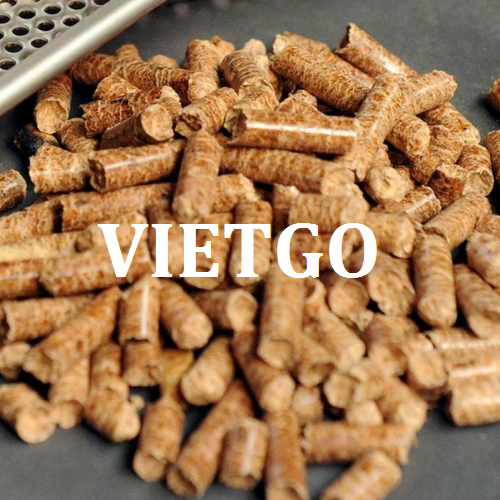 vnmc-vietgo1-110219
